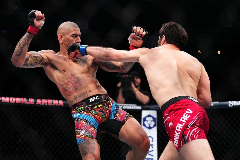 Alex Pereira Vs Magomed Ankalaev