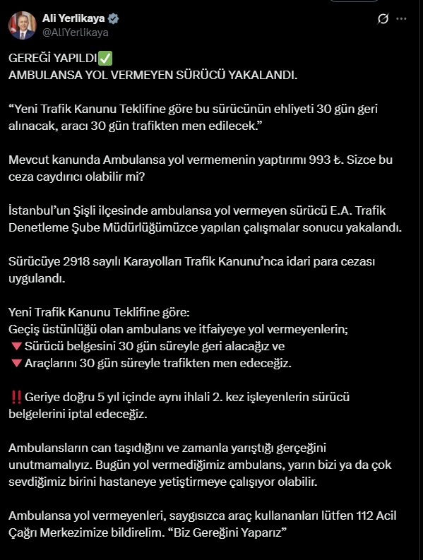 Ali Yerlikaya-2