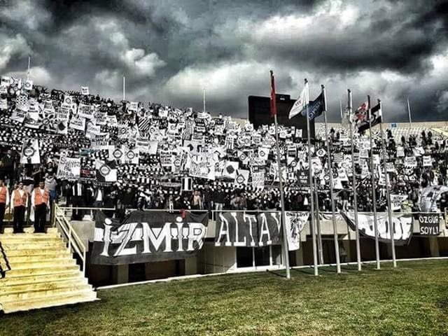 Altay-8