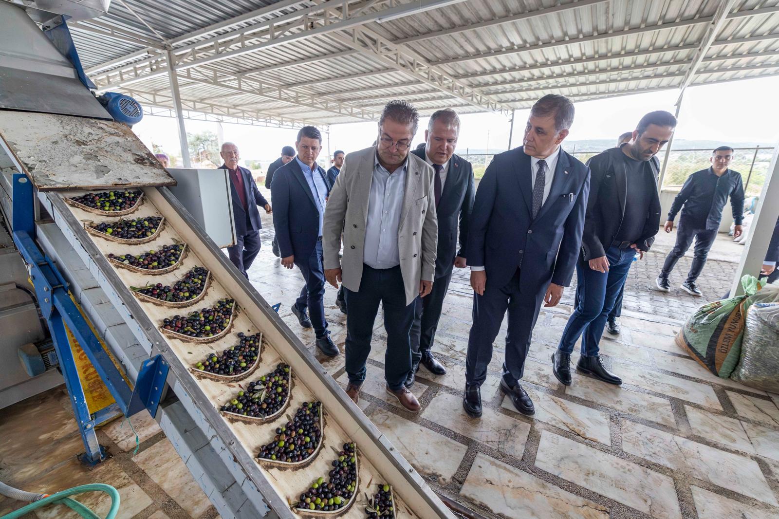 Başkan Tugay, Ilk Zeytinleri Dökerek Sezonu Başlattı! (7)