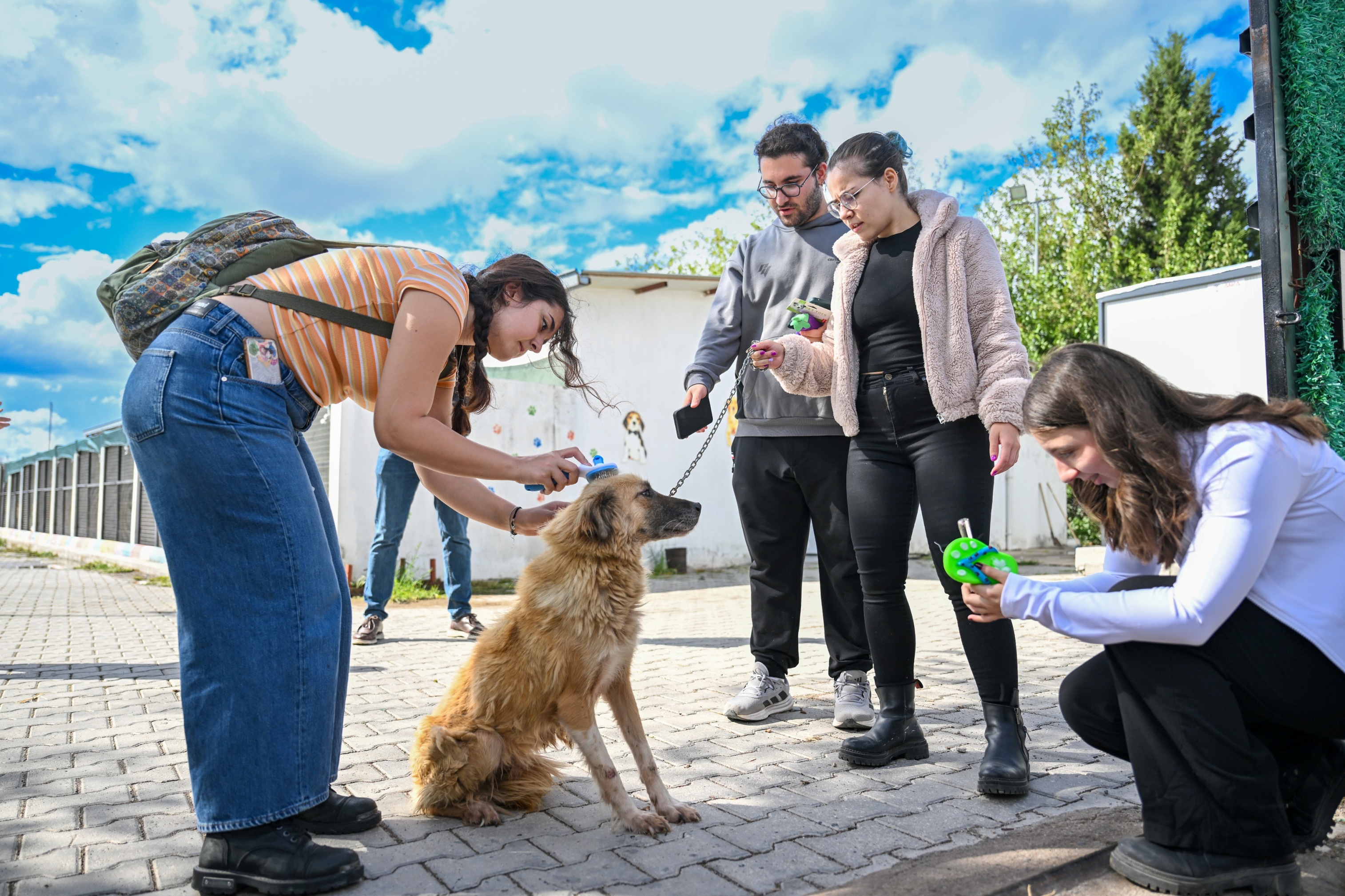 Bornova'da Öğrenciler Can Dostları Yalnız Bırakmadı