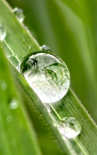 Bu Fotoğraflar Cep Telefonuyla Çekildi Ödül Alan Kareler Sizi Şaşırtacak! (2)