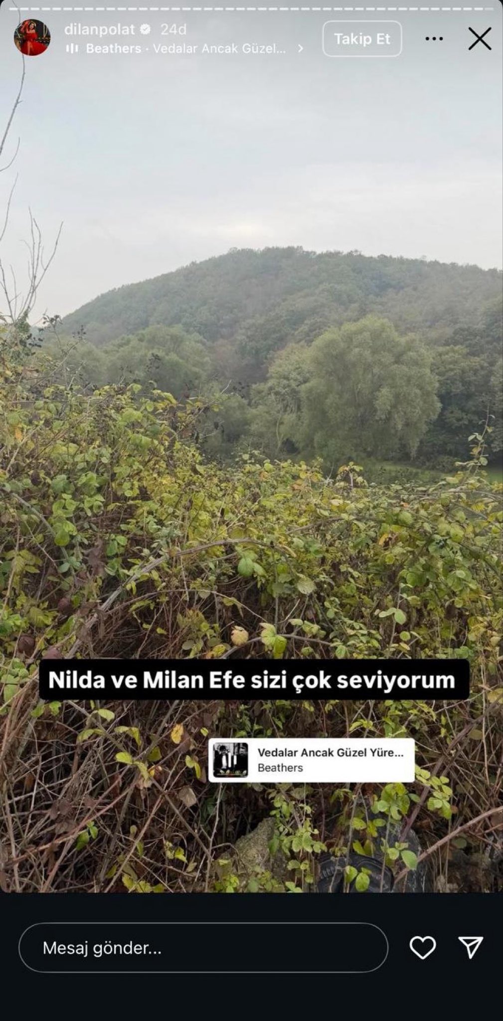Dilan Polatt