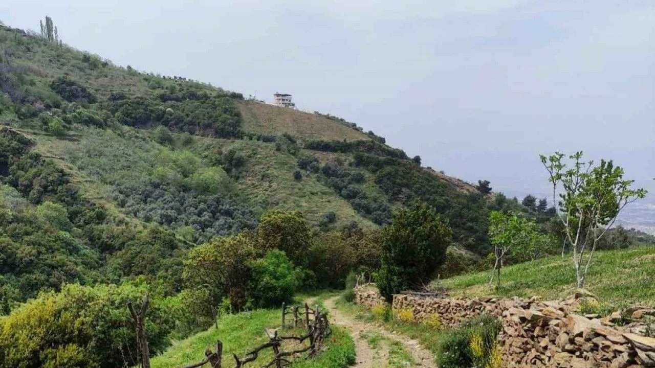 Efeler Yolu 1