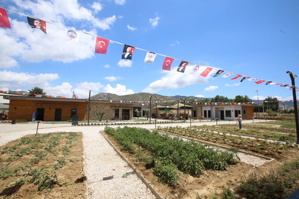 Efes Tarlası Yaşam Köyü 1