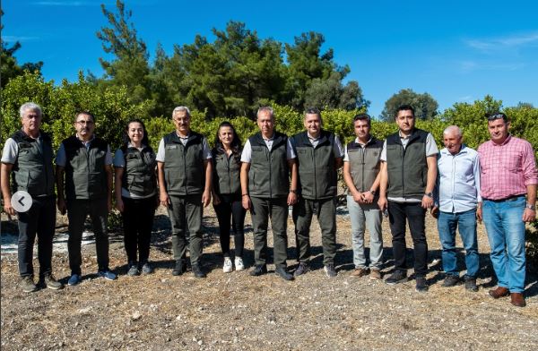 Ege’nin 'Altın Damlatan' Ağacı Yeniden Hayat Buluyor!3 (2)