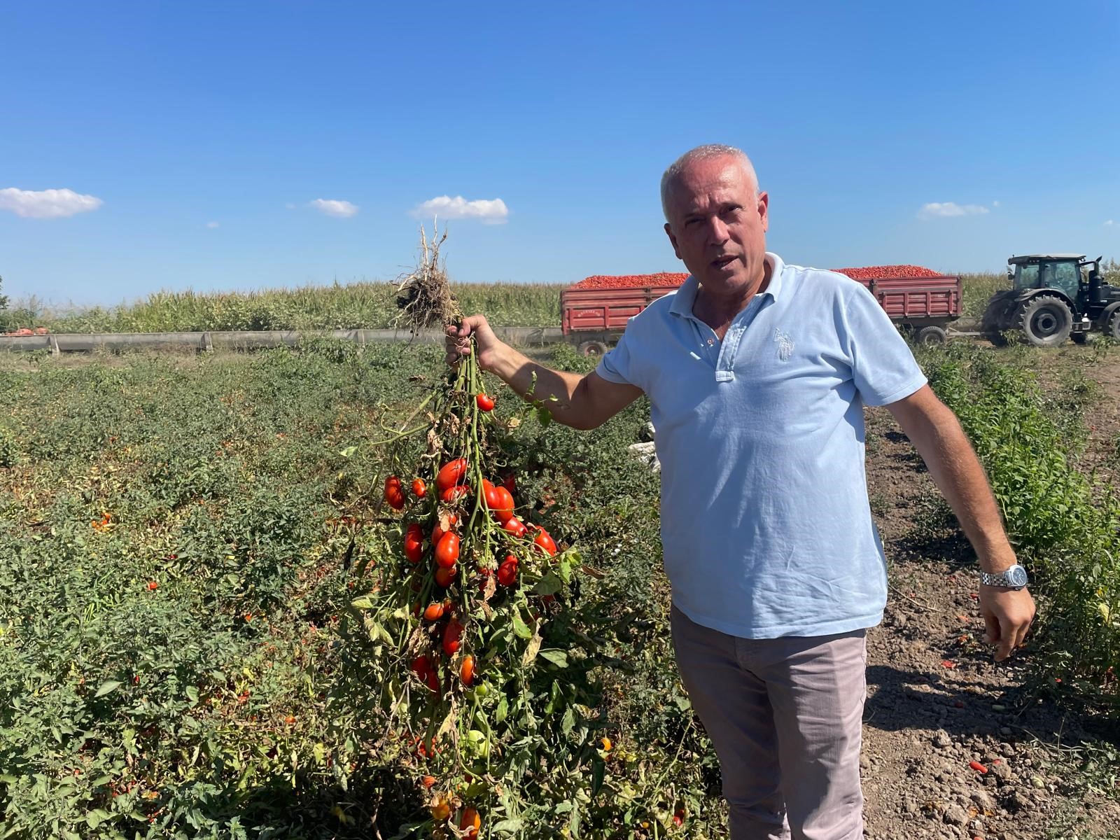 İngiltere’de Fast Food Zinciri Kurdu, Kazancını Tarlaya Yatırdı! (5)