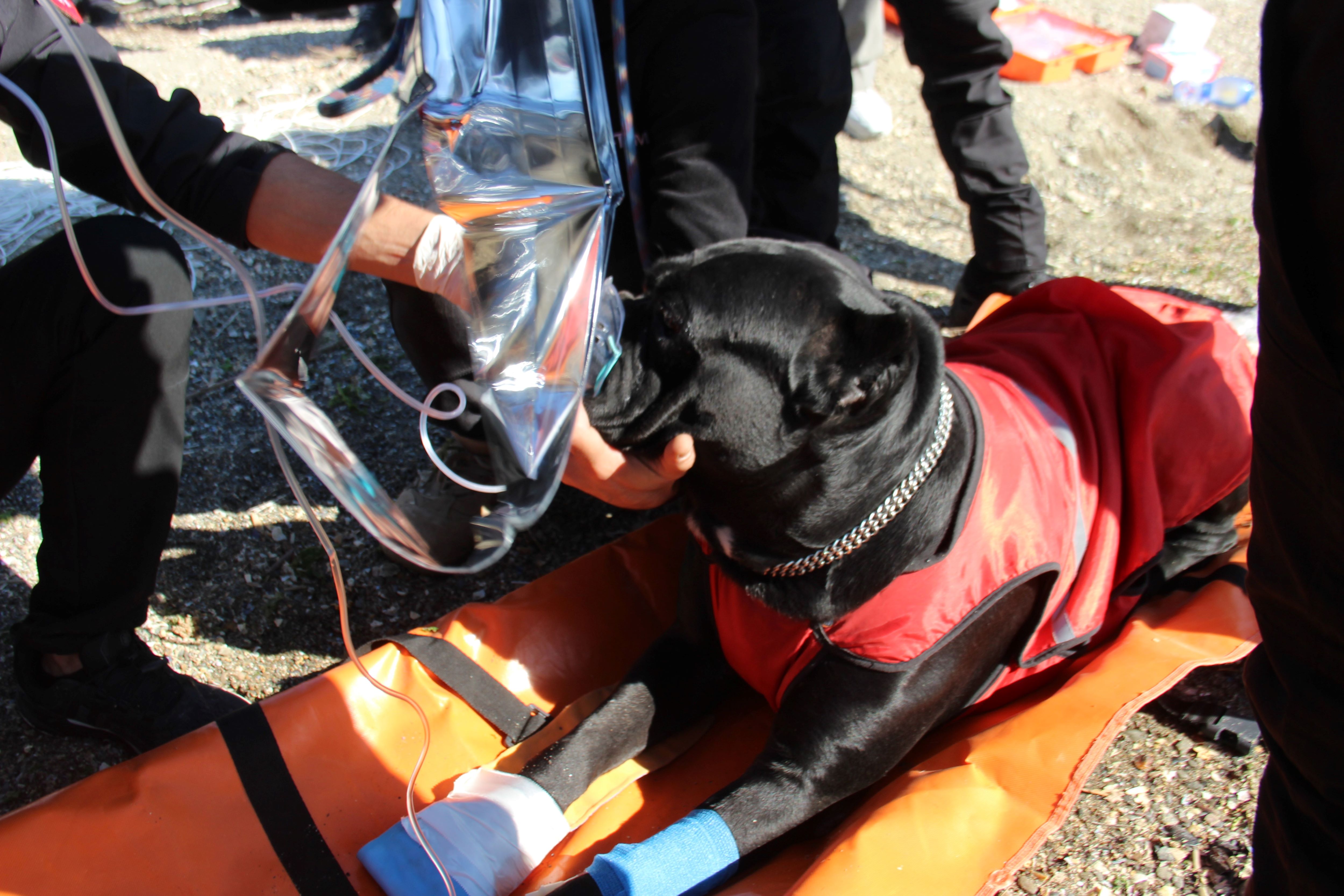 İzmir’de Geniş Çaplı Sel Tatbikatı 180 Personel Sahada (5)