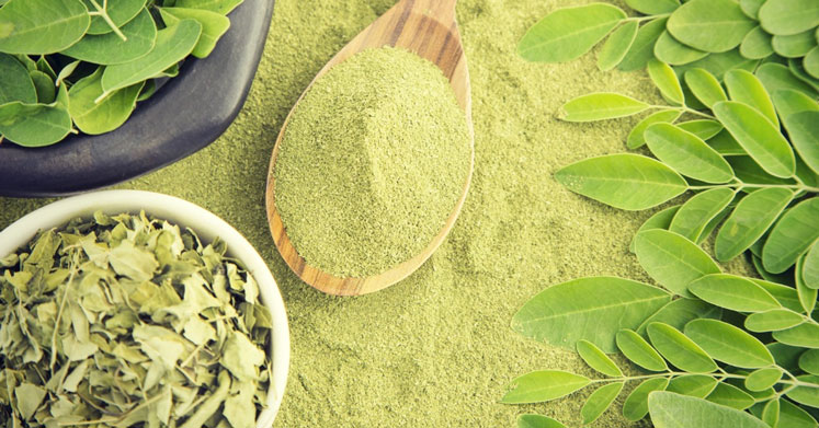 Moringa-1