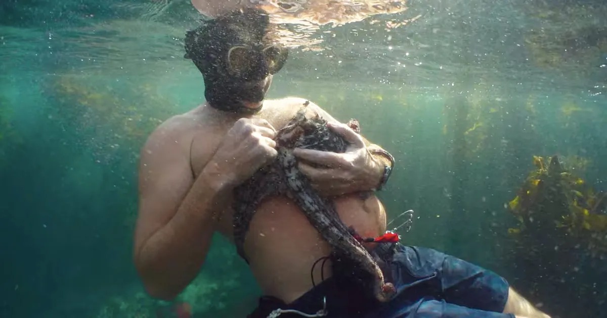 My Octopus Teacher (2)