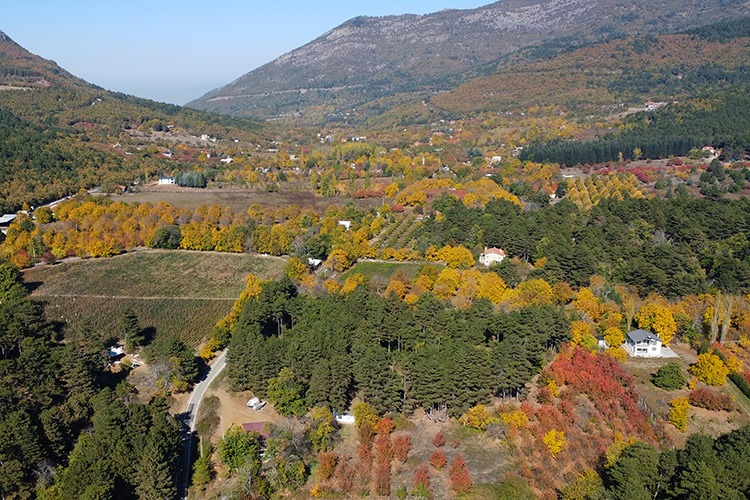 Ovacık Yaylası