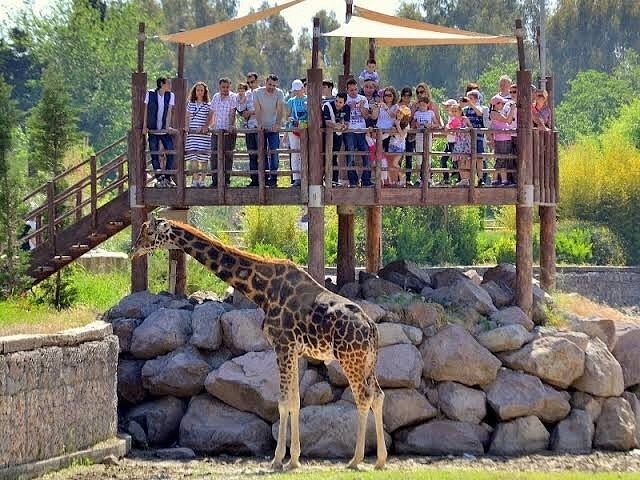 Sasalı Doğal Yaşam Parkı