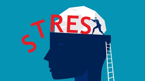 Stresi Azaltan 3 Mikrobilgi Beyin Bunlara Bayılıyor-1