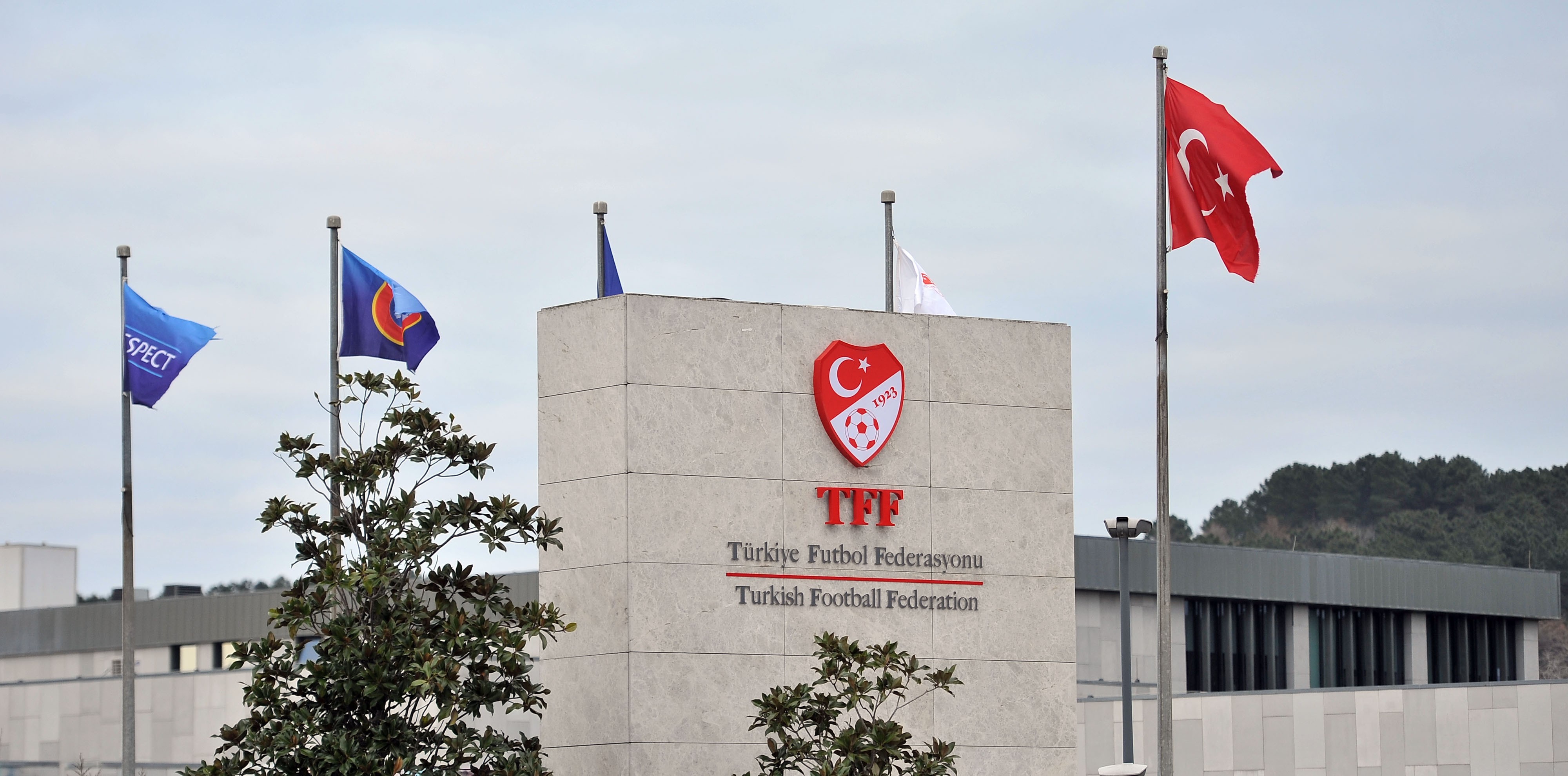 Tff-2