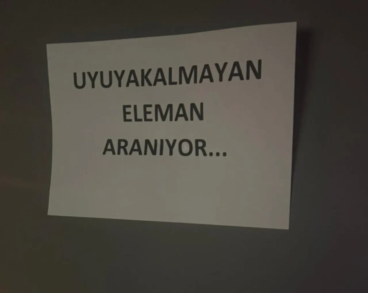 Uyuyakalmayan Elaman Aranıyor