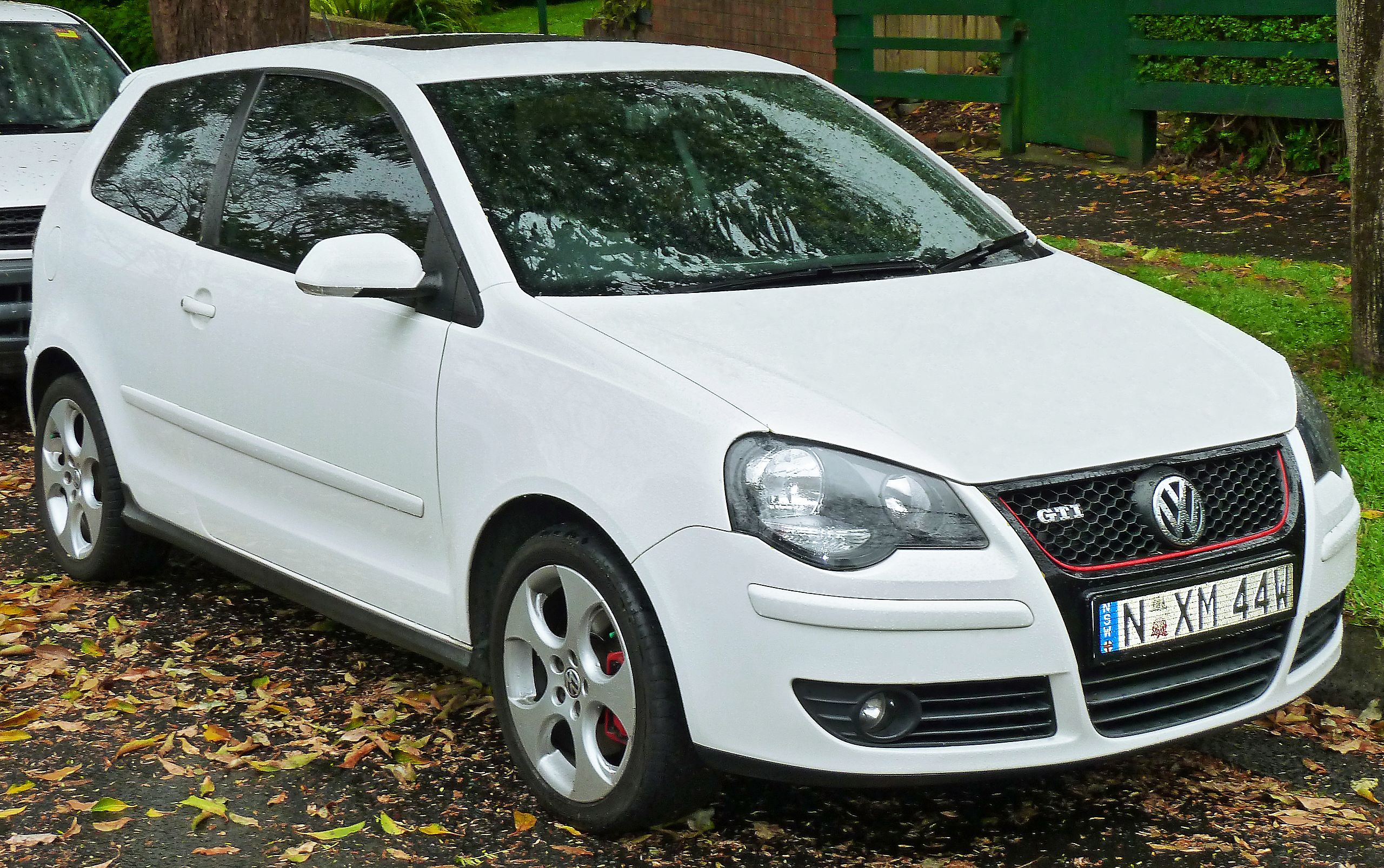 Volkswagen Polo Golf (2005–2010)