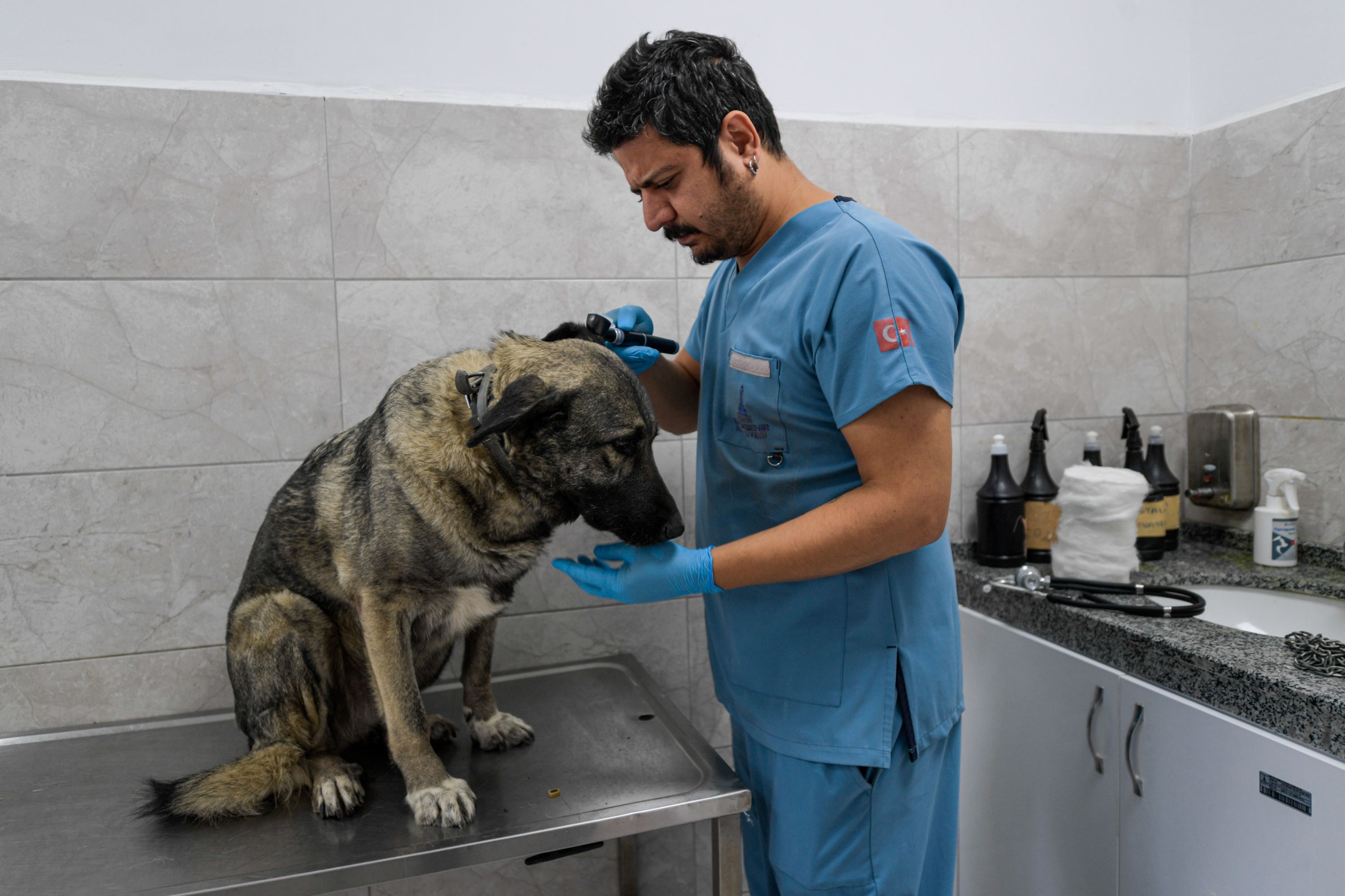 İzmirli hayvansever Çörekçi’nin emanetlerine Büyükşehir sahip çıktı