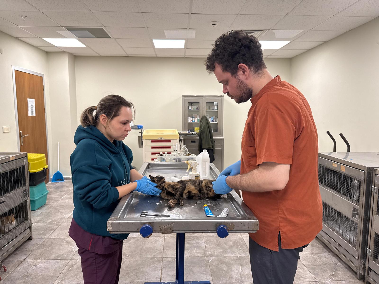 İzmirli hayvansever Çörekçi’nin emanetlerine Büyükşehir sahip çıktıB0D