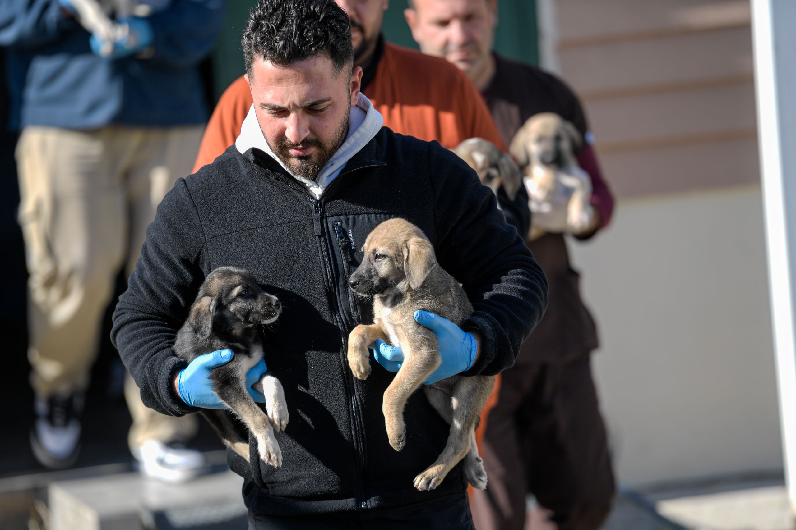 İzmirli hayvansever Çörekçi’nin emanetlerine Büyükşehir sahip çıktı