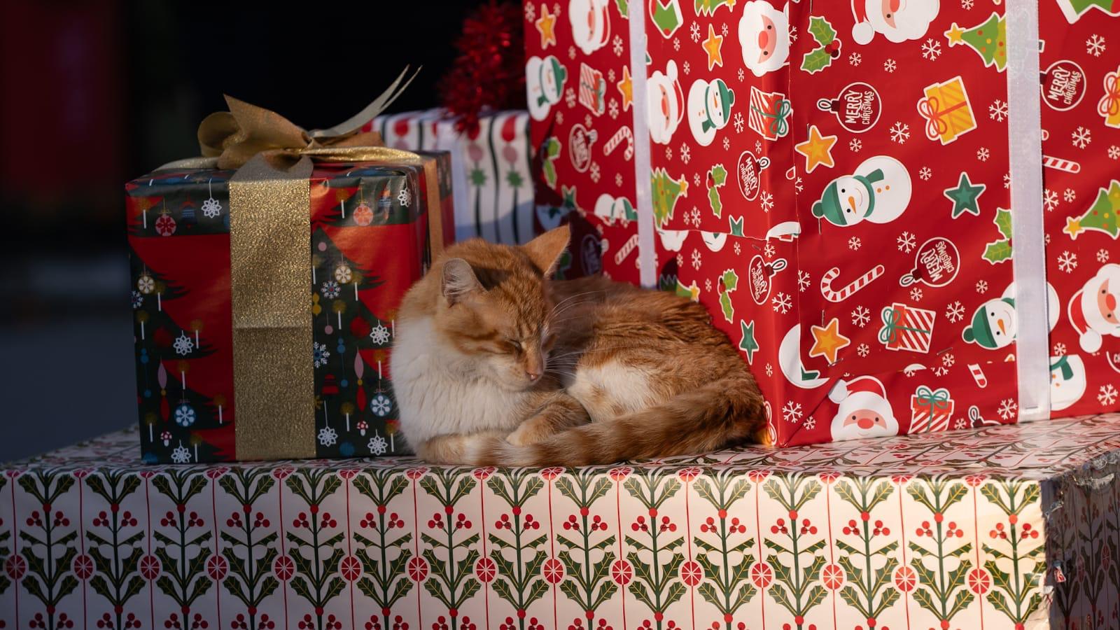 İzmir, yeni yılı rengarenk bir festivalle karşılıyor6
