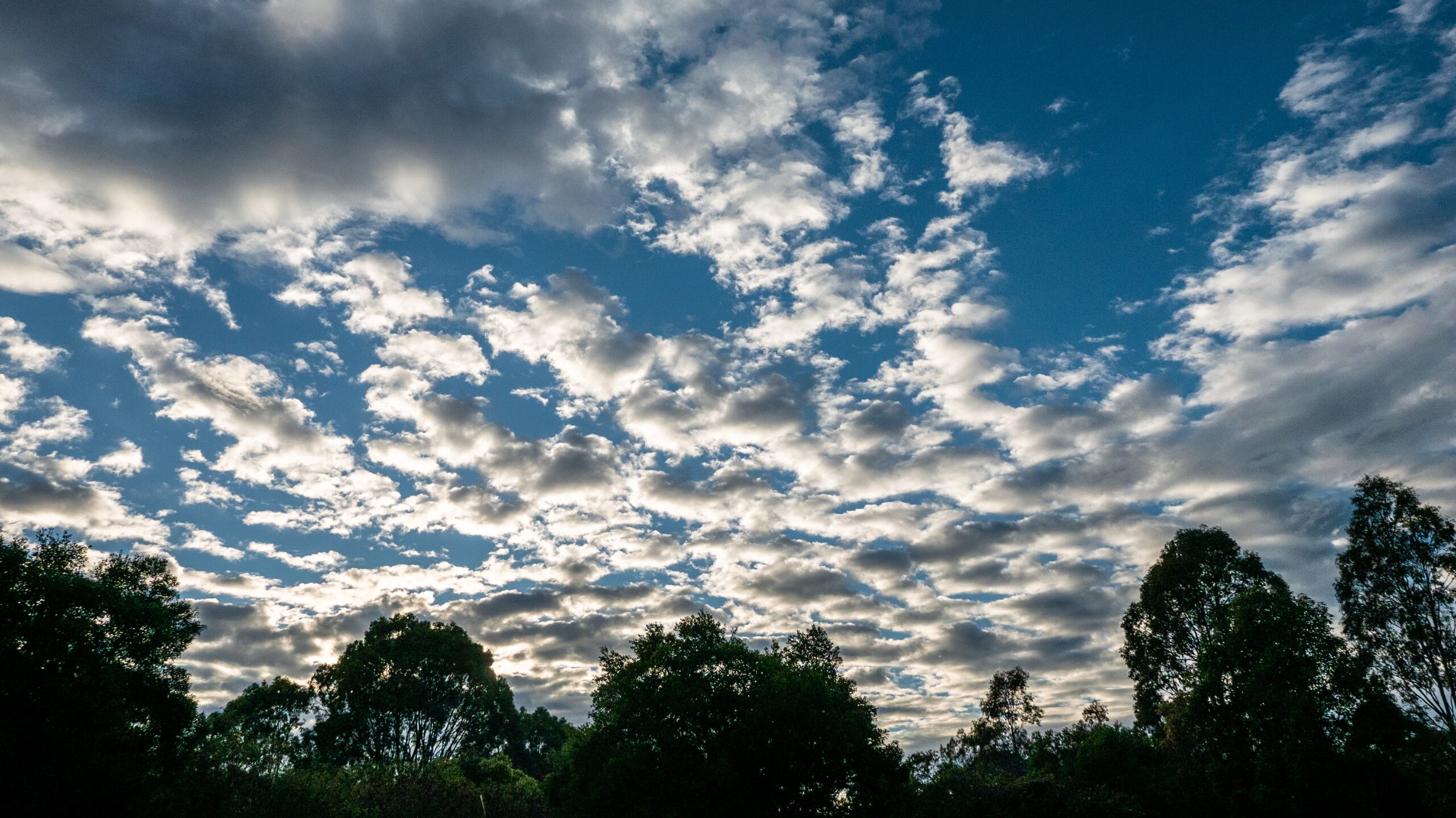 8 Kasım İzmir Hava Durumu Sağanak Kapıda! (3)