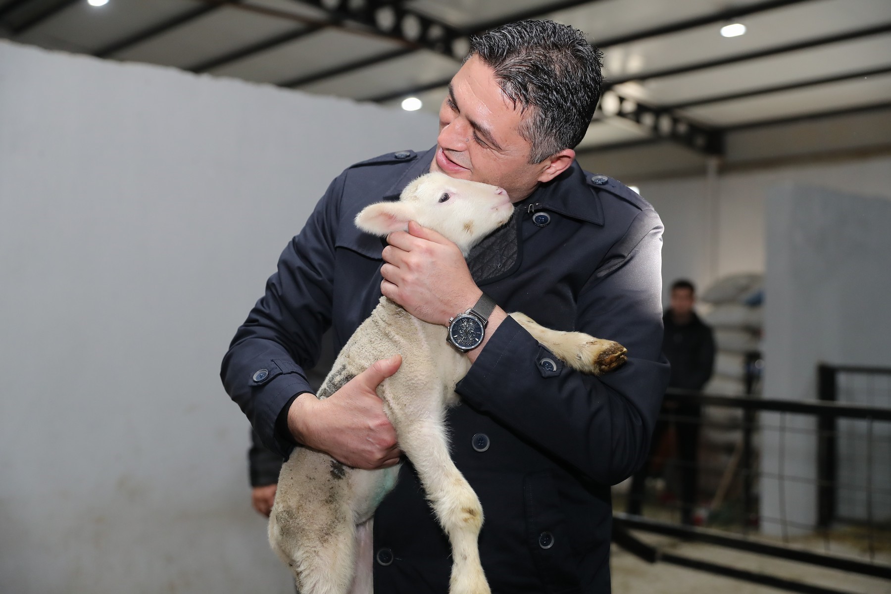 Aliağa’da Üreticilere Büyük Destek! 210 Koyun Dağıtıldı (2)