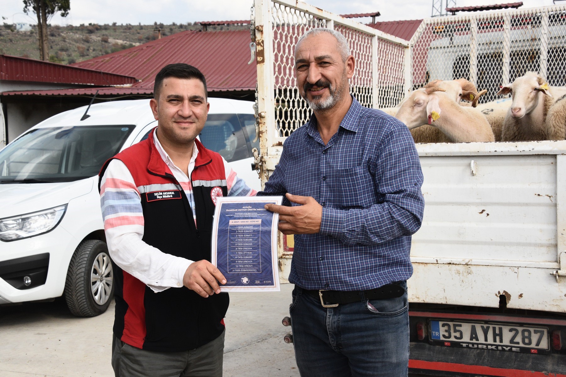 Aliağa’da Üreticilere Büyük Destek! 210 Koyun Dağıtıldı (3)