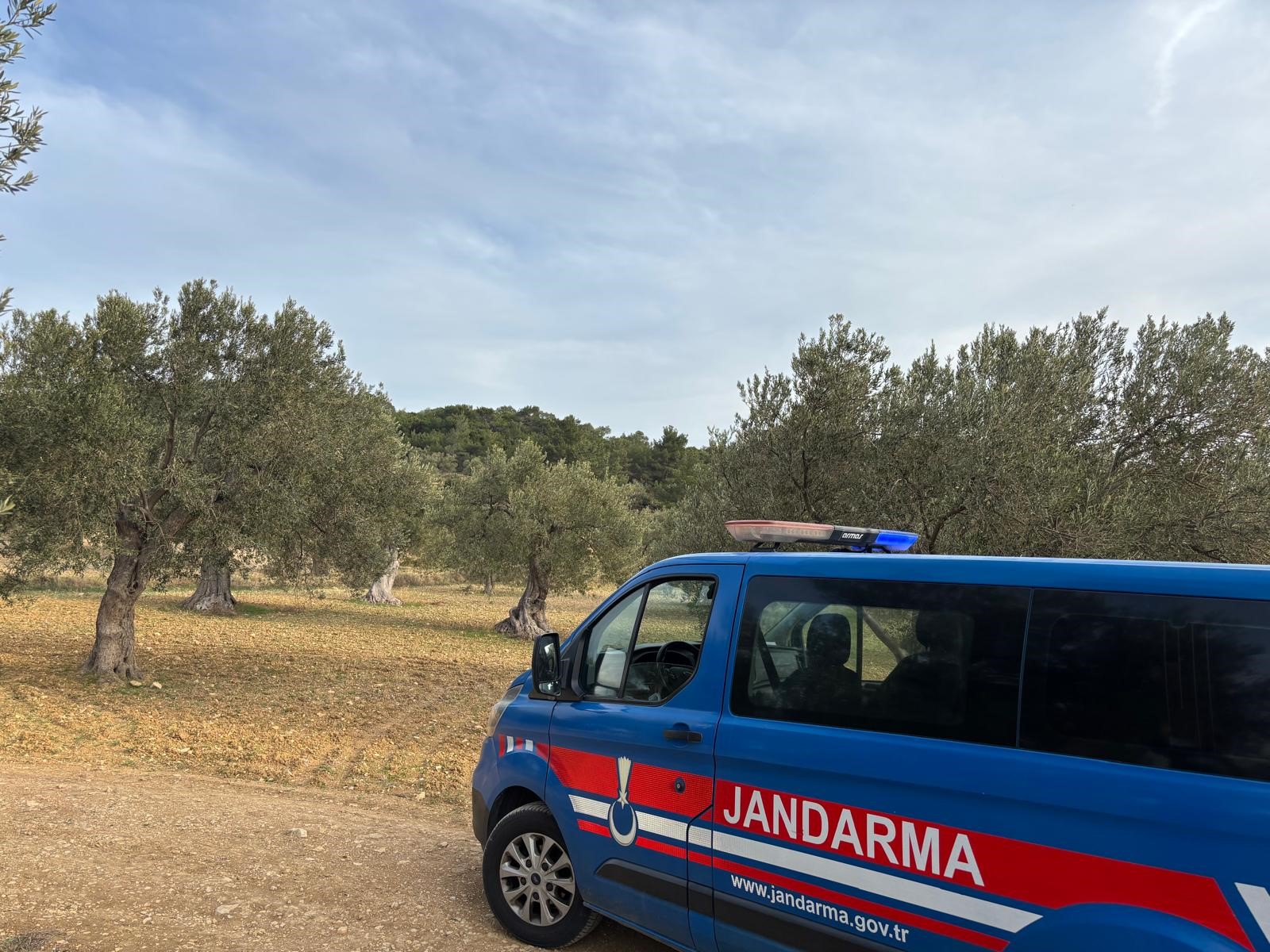 Aliağa’da Zeytin Hasadı Başladı Güvenlik Önlemleri Artırıldı (2)