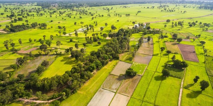 Arsa Ve Tarla Piyasası Durdu! İşte En Az Değerlenen 10 Il! (1)