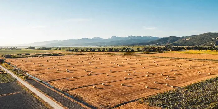 Arsa Ve Tarla Piyasası Durdu! İşte En Az Değerlenen 10 Il! (2)