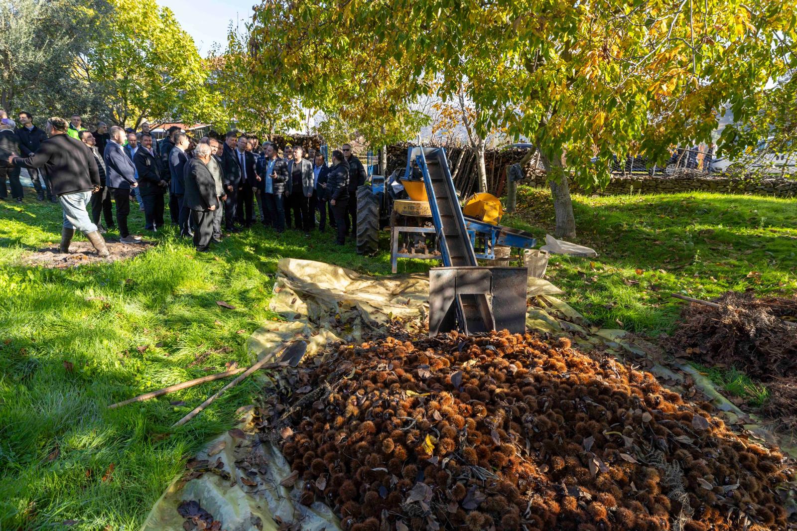 Başkan Tugay Beydağ’da Kestane Üreticisine Destek Sözü Verdi (2)