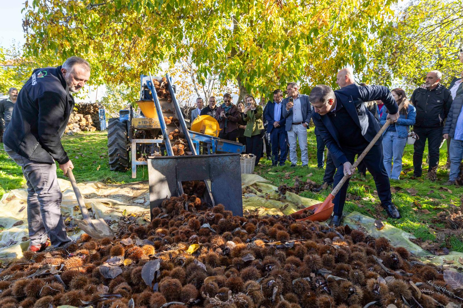 Başkan Tugay Beydağ’da Kestane Üreticisine Destek Sözü Verdi (3)