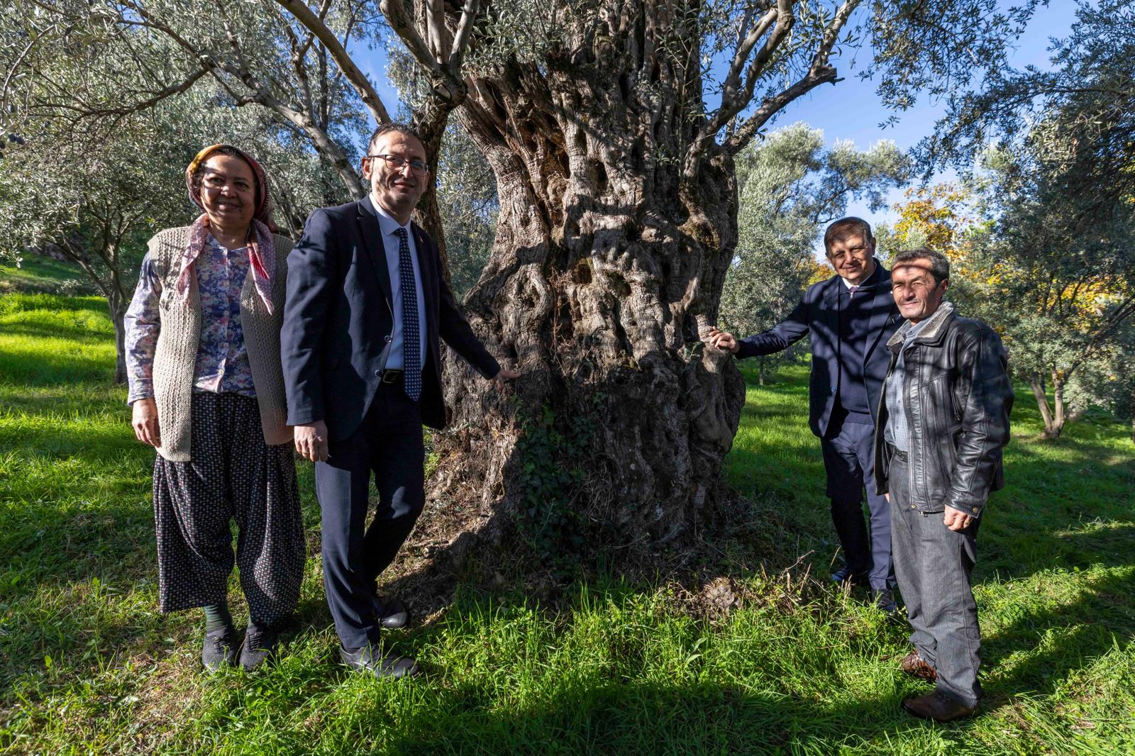 Başkan Tugay Beydağ’da Kestane Üreticisine Destek Sözü Verdi (5)
