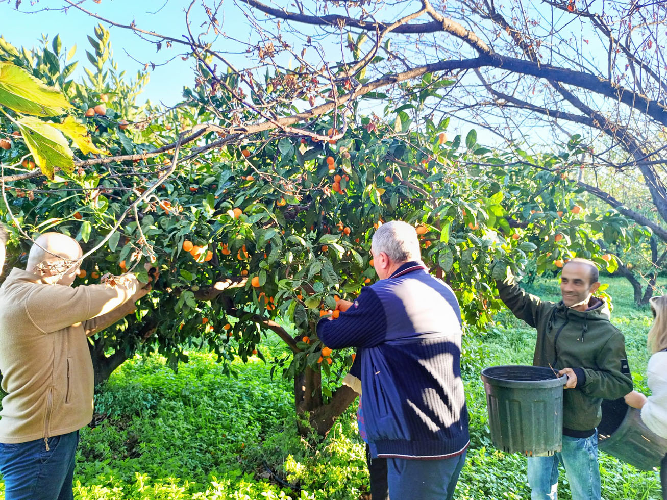 Belediye Harekete Geçti, Halk Sevindi! (11)