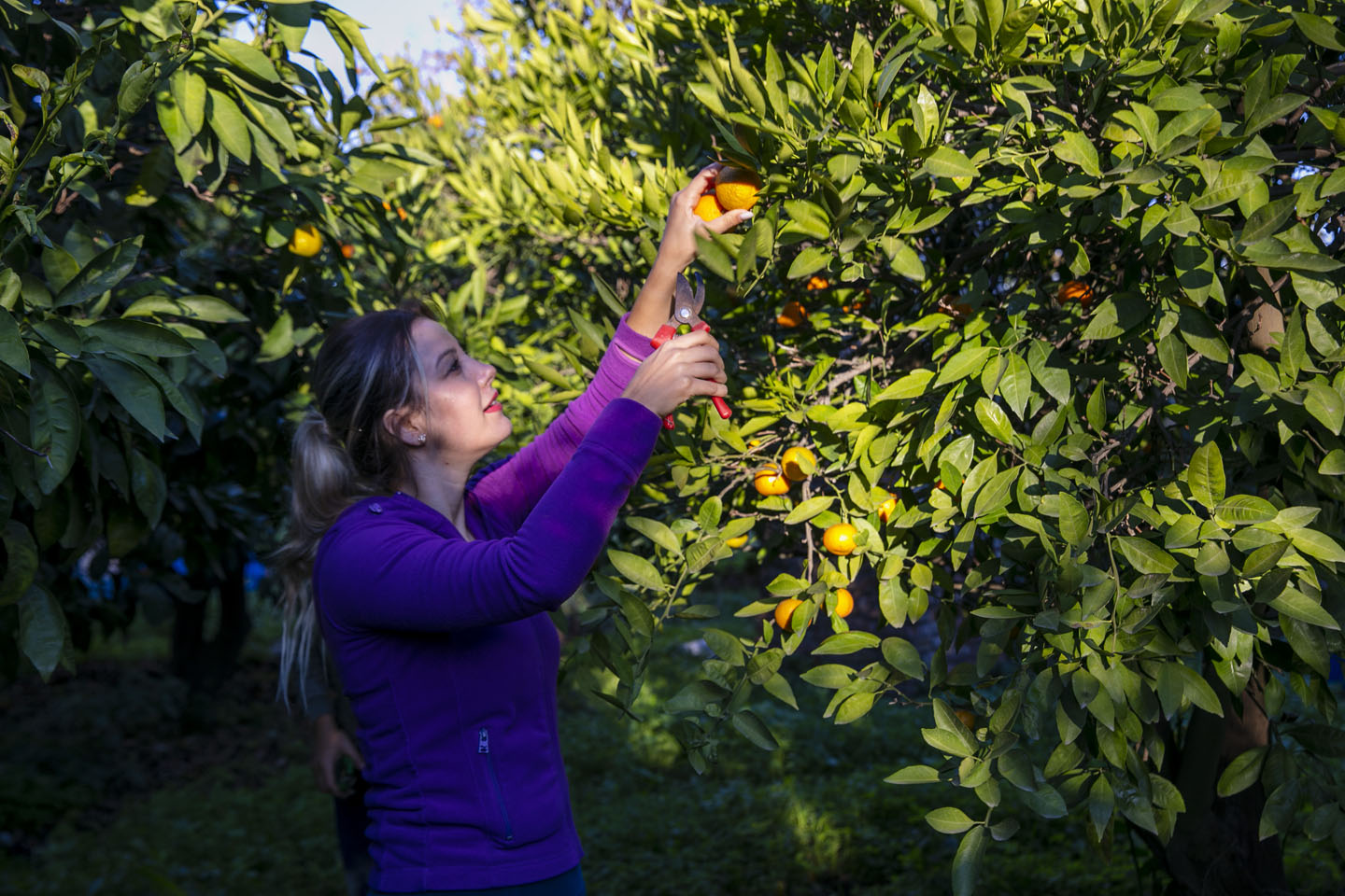 Belediye Harekete Geçti, Halk Sevindi! (9)