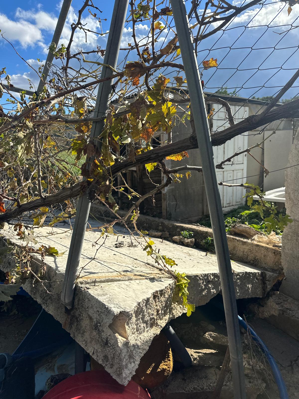 Çeşme’de Bahçe Bitkileri Üreticisinin 10 Yıllık Emeği Bir Gecede Yok Oldu! (2)