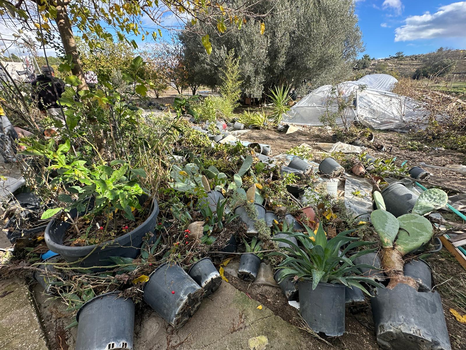 Çeşme’de Bahçe Bitkileri Üreticisinin 10 Yıllık Emeği Bir Gecede Yok Oldu! (6)
