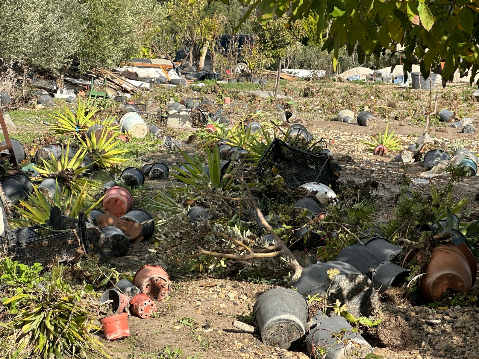 Çeşme’de Bahçe Bitkileri Üreticisinin 10 Yıllık Emeği Bir Gecede Yok Oldu! (7)