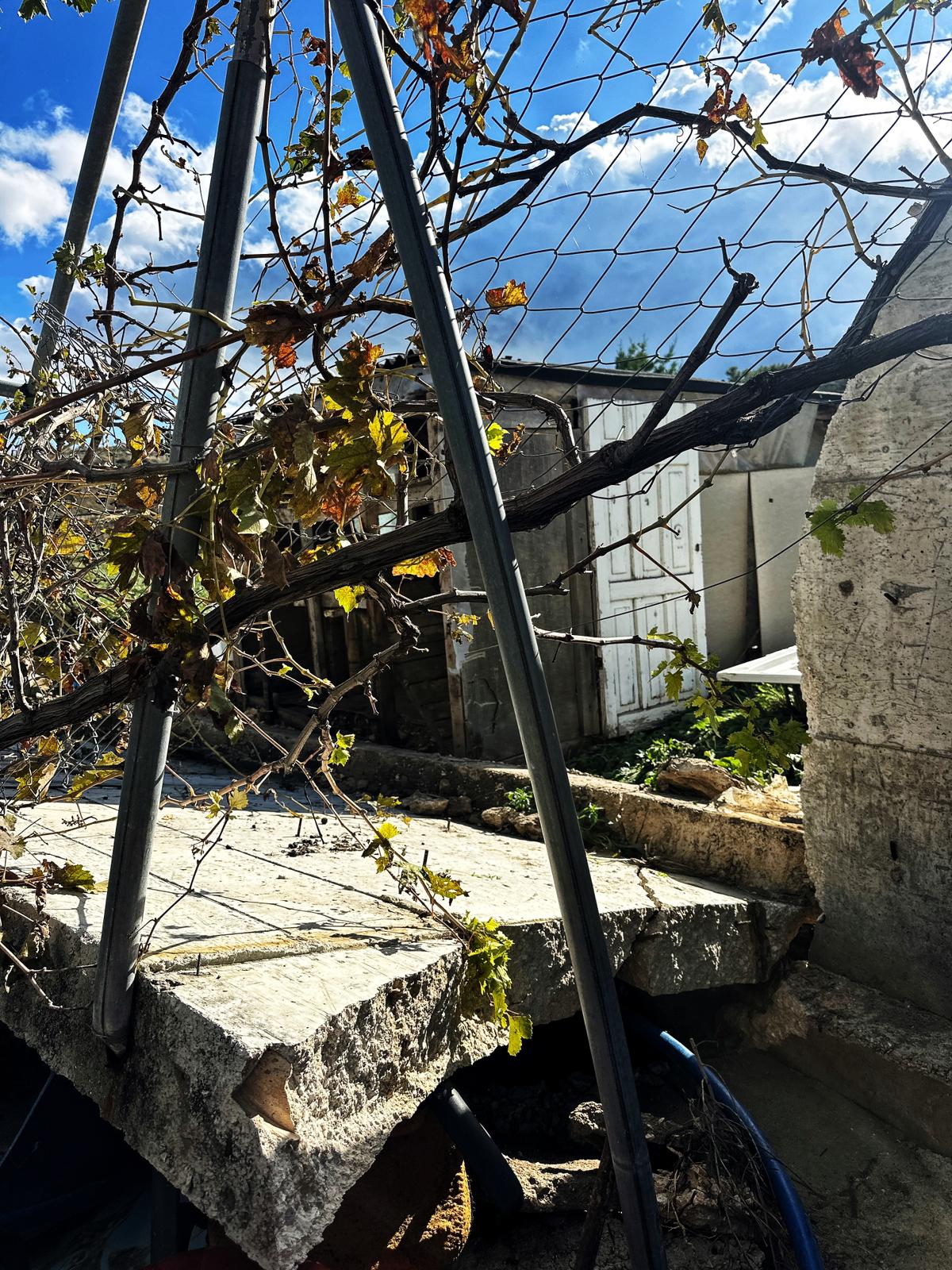 Çeşme’de Bahçe Bitkileri Üreticisinin 10 Yıllık Emeği Bir Gecede Yok Oldu! (9)