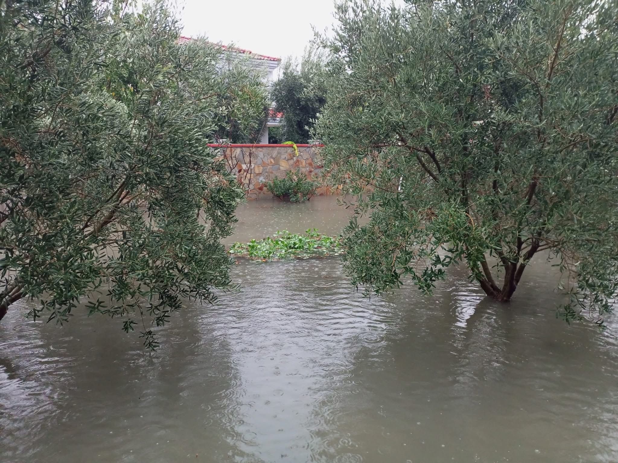 Çeşme’de Bir Aylık Yağış Bir Gecede Düştü! (3)