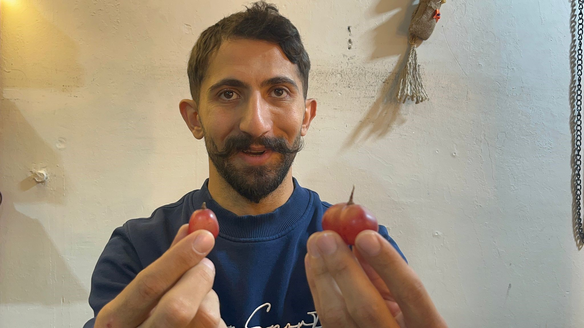 Dev Üzüm Tanesi Görenleri Şaşkına Çevirdi (4)