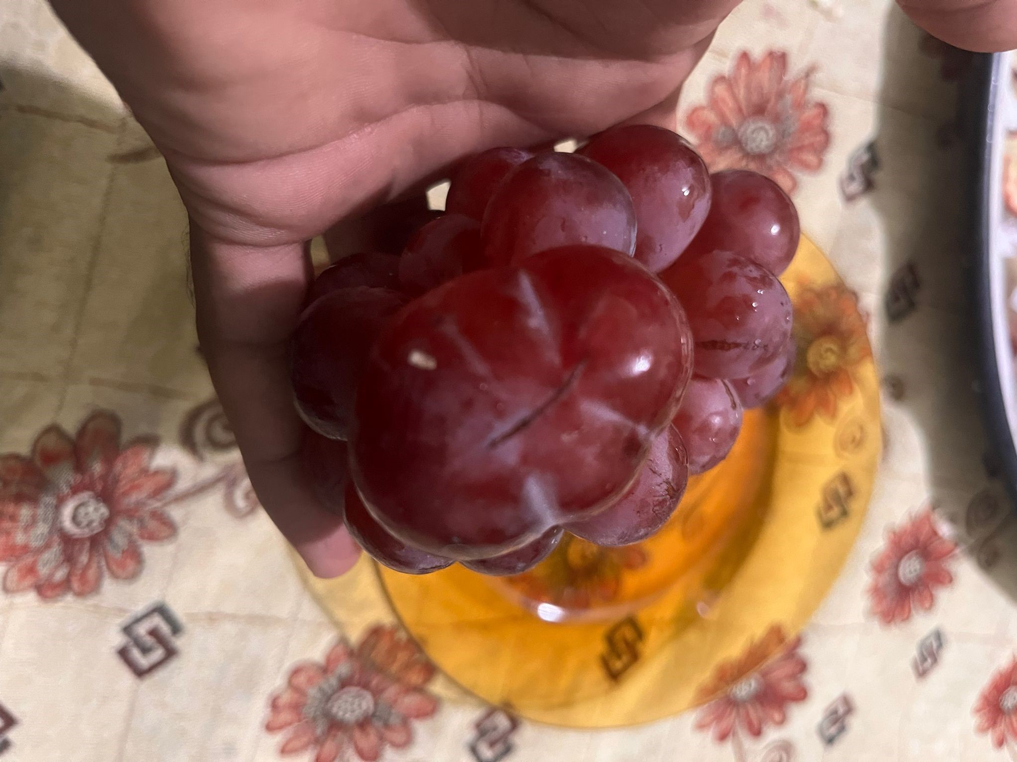 Dev Üzüm Tanesi Görenleri Şaşkına Çevirdi (5)