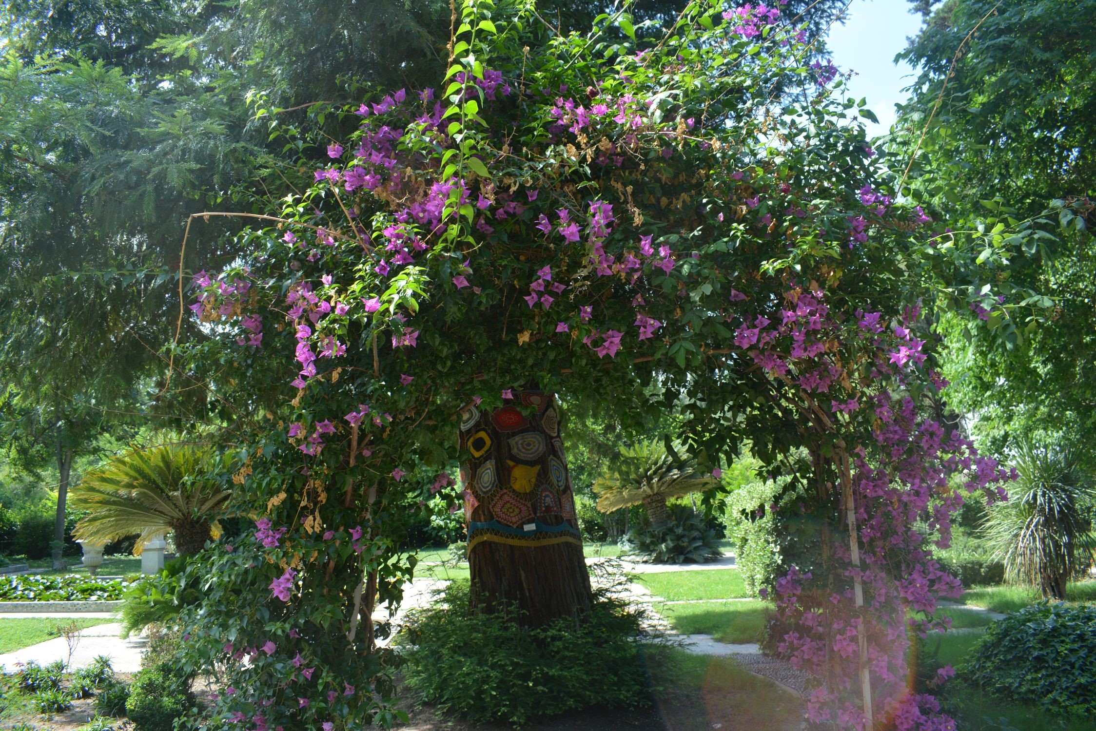 Ege Üniversitesi Botanik Bahçesi Şaşırtıyor! (5)