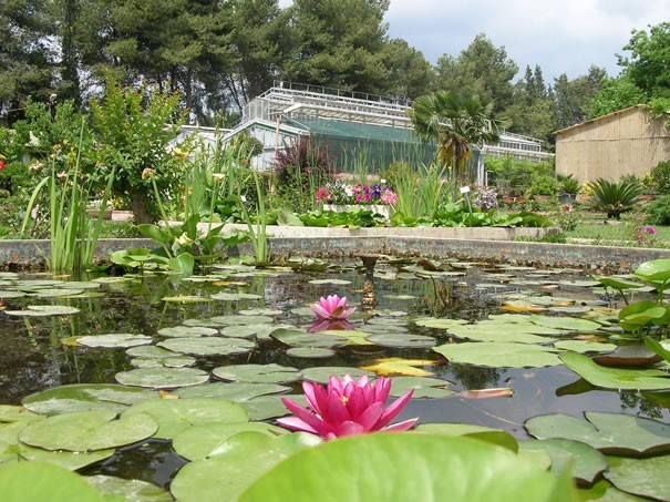 Ege Üniversitesi Botanik Bahçesi Şaşırtıyor! (6)