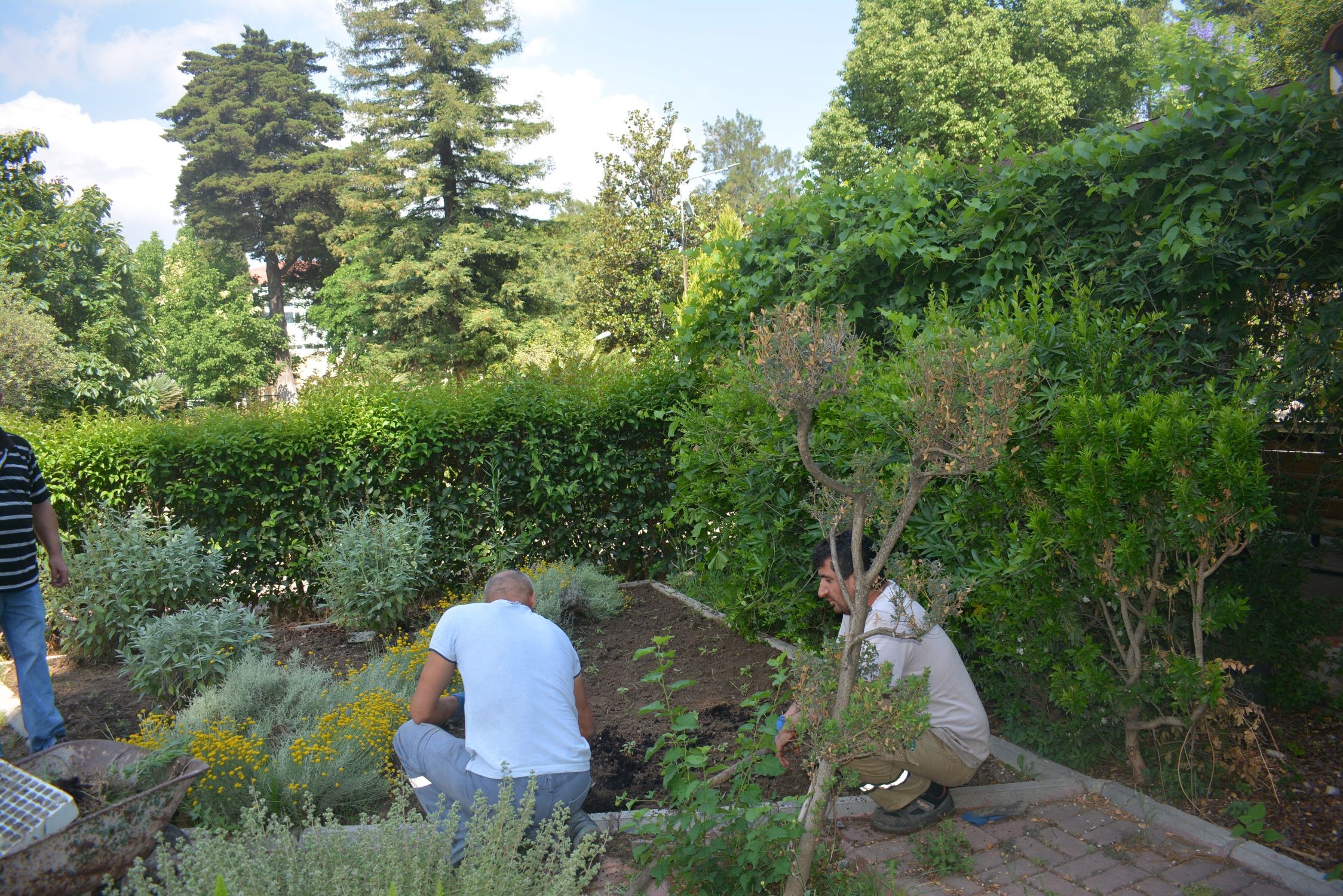 Ege Üniversitesi Botanik Bahçesi Şaşırtıyor! (7)