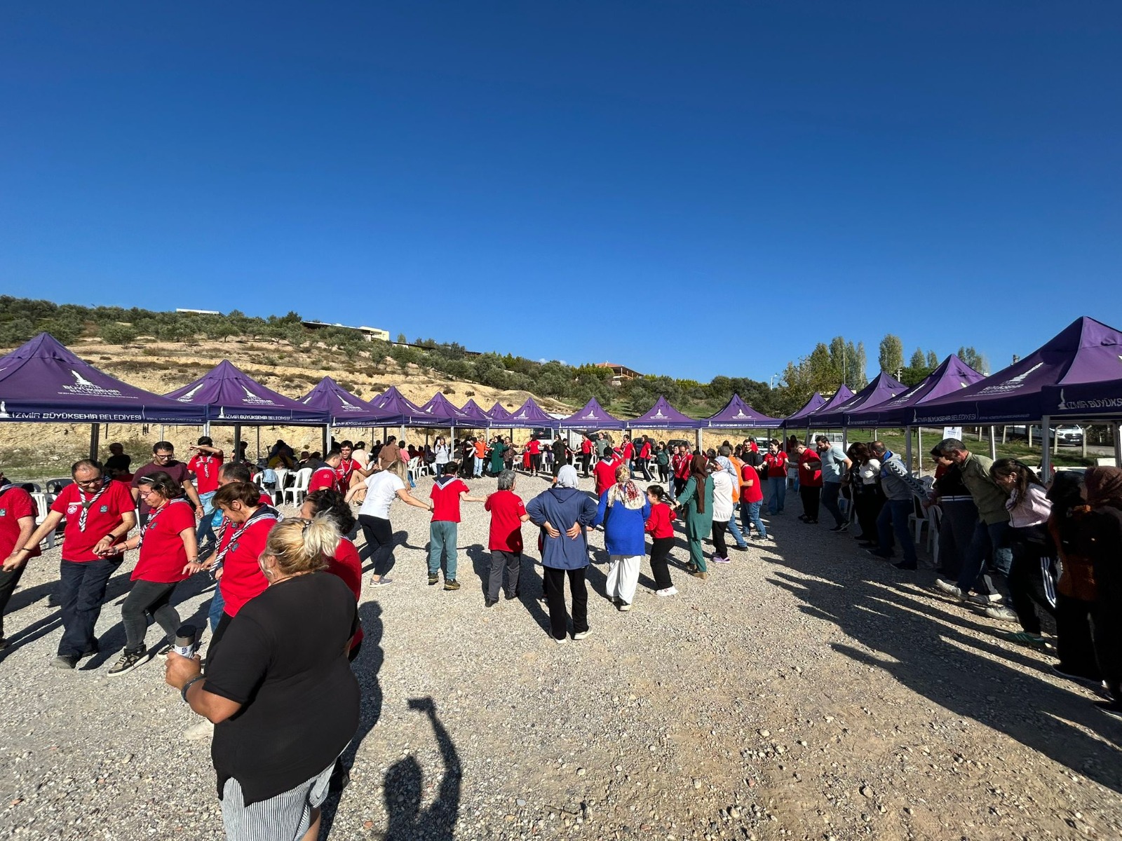 Engelli Yurttaşlar Ve Yakınları Zeytin Hasadında Buluştu (2)