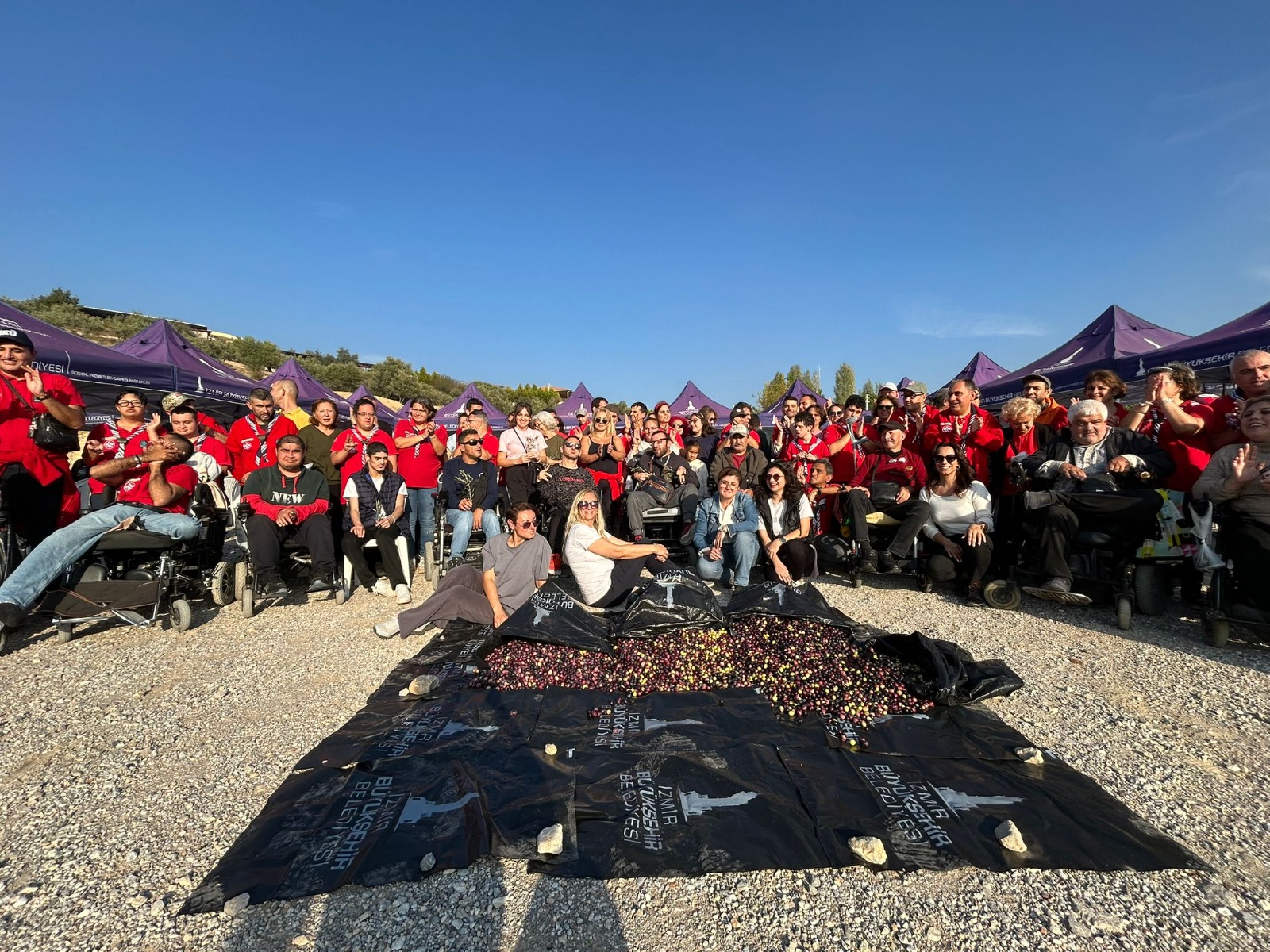 Engelli Yurttaşlar Ve Yakınları Zeytin Hasadında Buluştu (3)