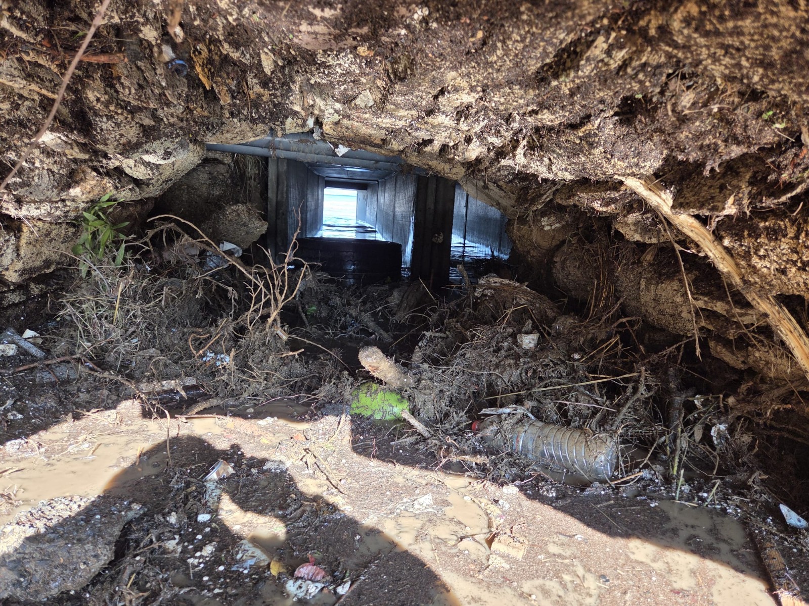 Foça’da Sel Sonrası Ilk Rapor (5)