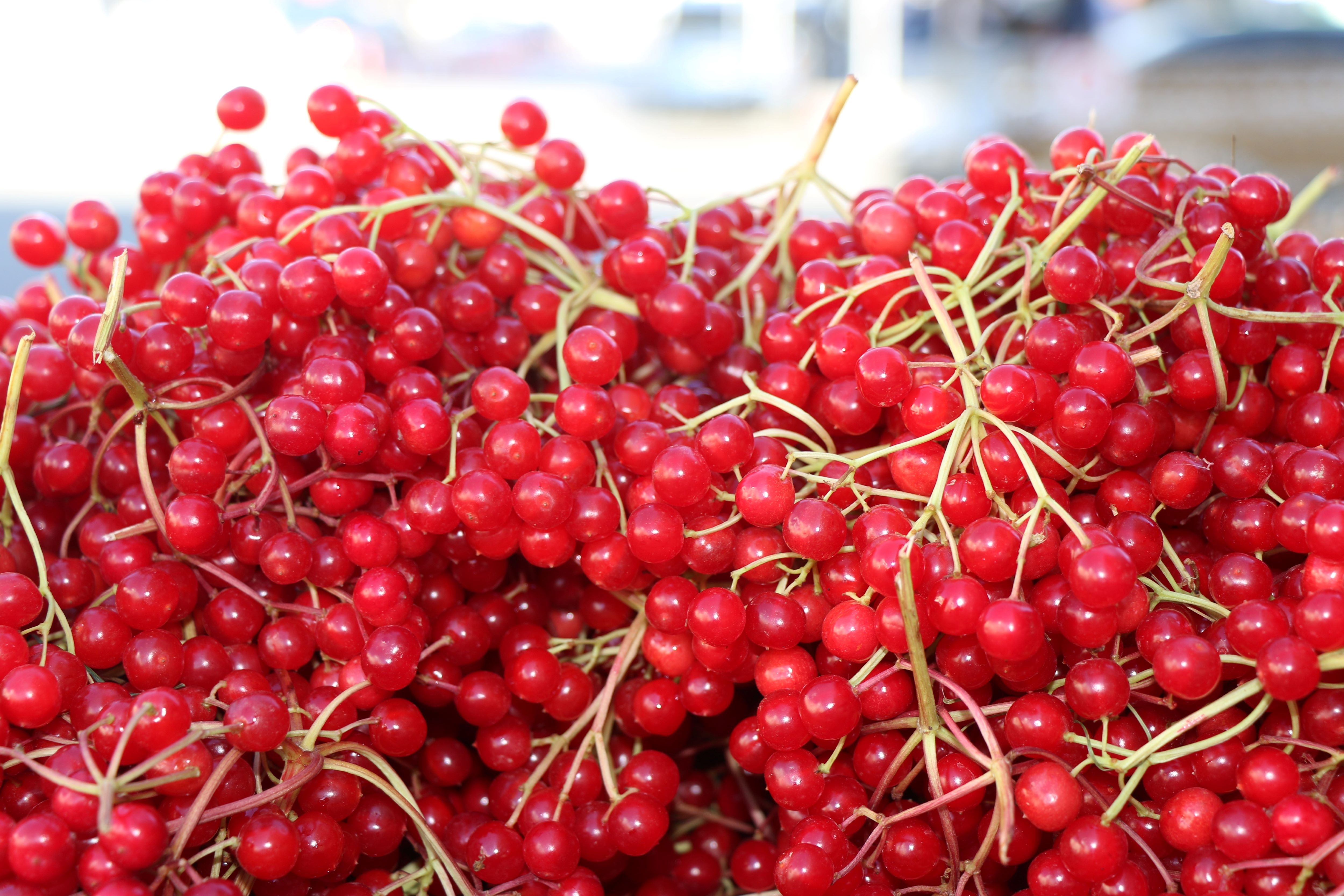 Herkesin Konuştuğu Meyve ‘Gençlik İksiri’ Tezgahlarda! (2)