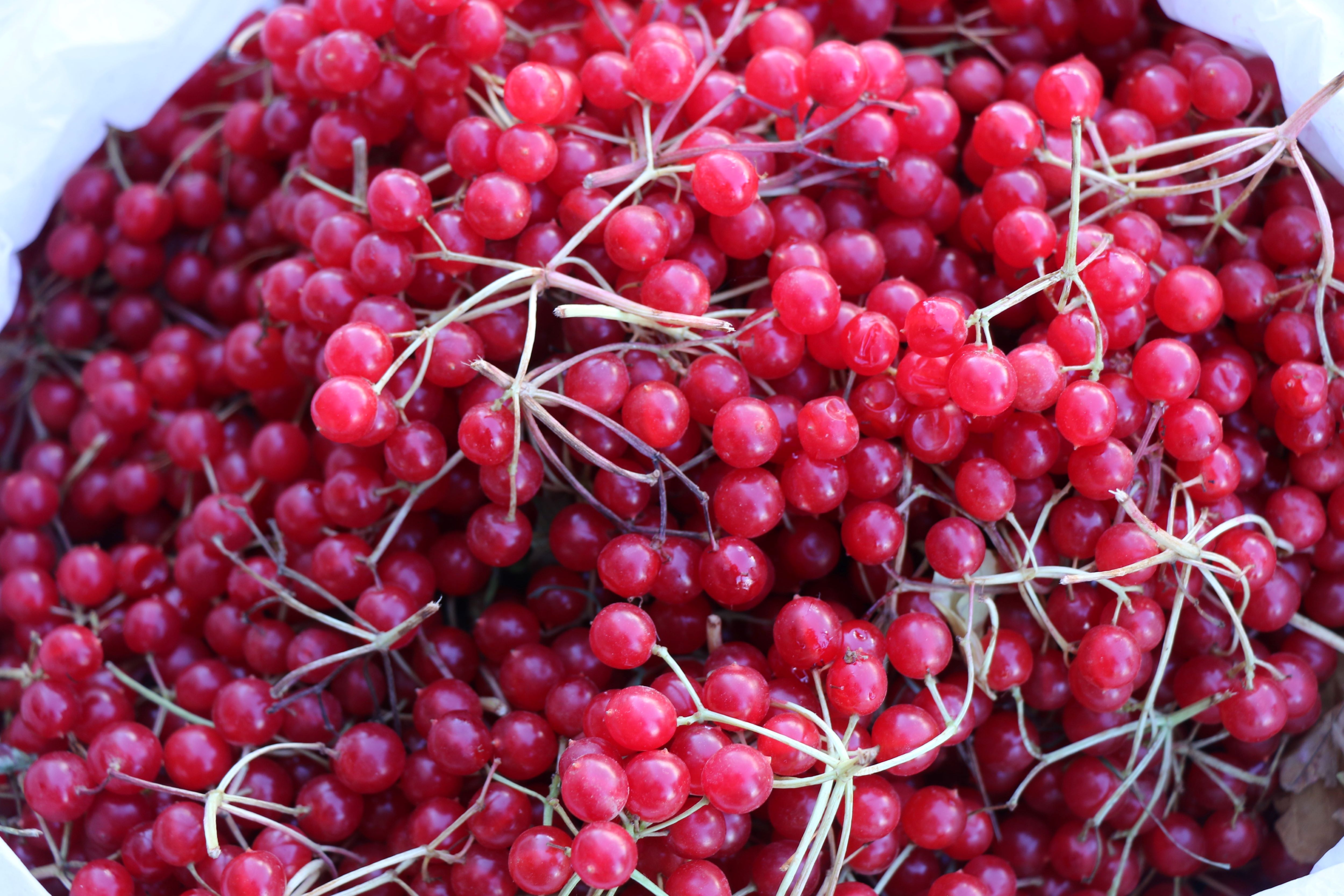 Herkesin Konuştuğu Meyve ‘Gençlik İksiri’ Tezgahlarda! (3)